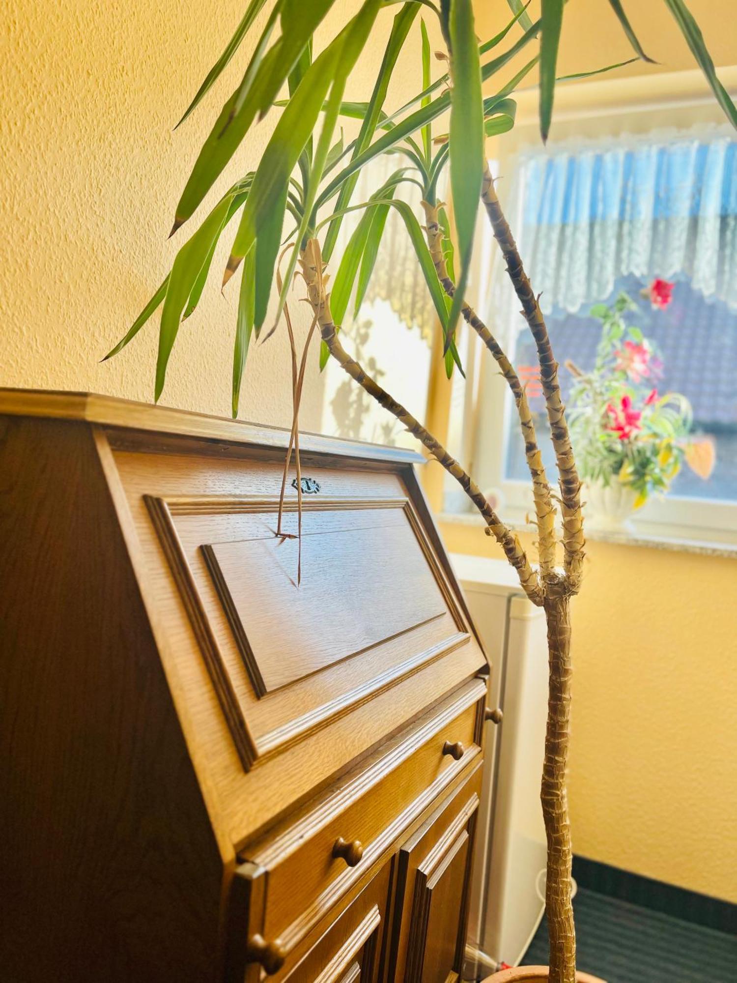 Tm Hotel Westfalen リューネン エクステリア 写真